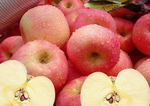 吃苹果最好细嚼十五分钟-凤鸣杨格烟台苹果