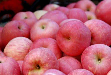 复合肥在烟台苹果生产中的应用